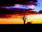 Atardecer Roto. Herencia, Ciudad Real